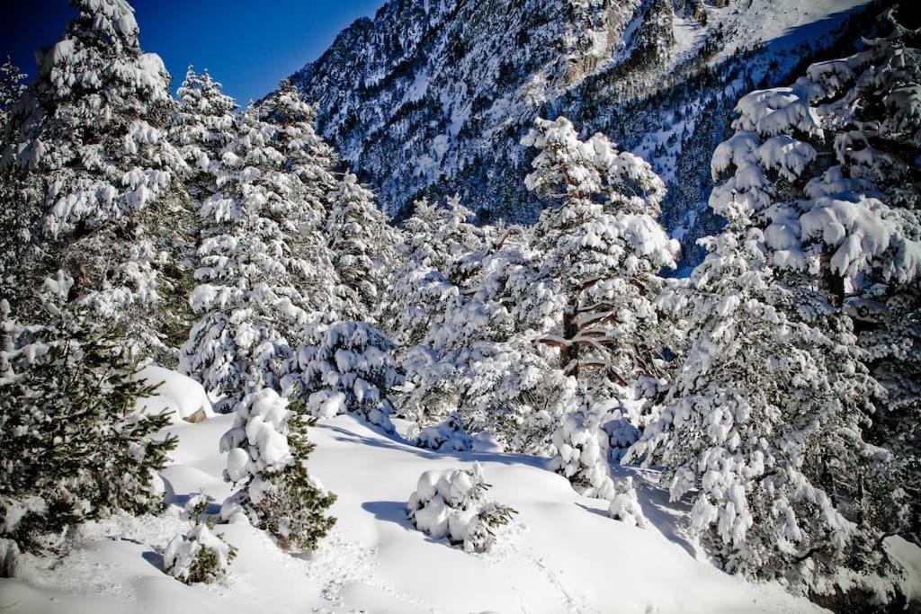 L'Helios Hyper Centre Telecabine 5Min A Pied Cauterets Luaran gambar